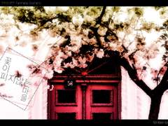 꽃이 피지 않는 마을