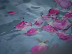 [올가바네] 비탄의 사수