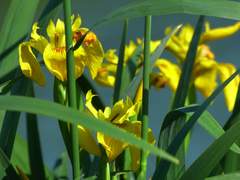 반항하는 너에게,