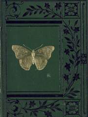 𝐒𝐔𝐍𝐖𝐎𝐎  X  𝐍𝐄𝐖