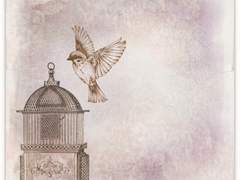 에쿠스 S 벨라토리스 프로필