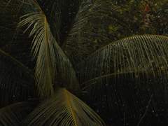 [하이큐드림/사쿠사]내가 너를 사랑해서 (1)