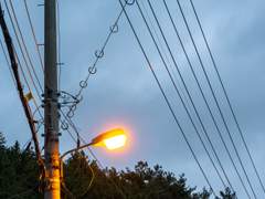 겨울은 대체로 산책하는 맛이 덜하다