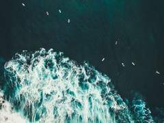 수면으로 손을 뻗는다