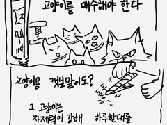 고양이에 대한 뻘망가