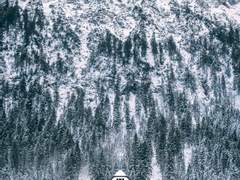 그렇다면, 그는 그것을 지켜볼 뿐이었다.