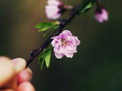 韓陽歌(한양가) 6화