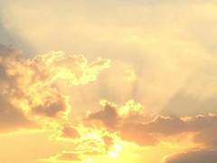 바람에 핀 꽃 01