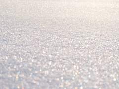 [ 카스아리 ] 폭설