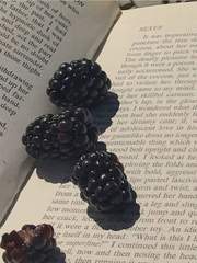 스네해리ts 단편 모음집