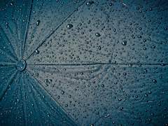 선명하게 남은 흔적