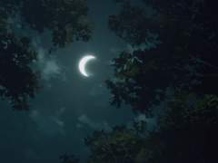 사랑하는 도련님 -2