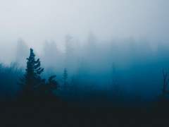 알지 못하는 자의 두려움