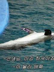 일상 속 사소한 궁금증