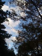 설강현 중심 진행