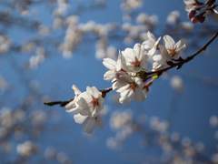 [형종덕만] 비밀 9