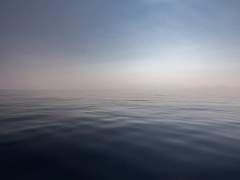 나를 잘 아는구나.