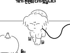 44. 장필승 입양이야기 <토마스편>-3