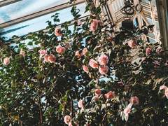 [고죠유지] 돈지랄 짧썰