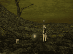 사냥하는 자, 당하는 자