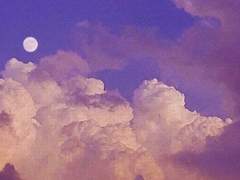 프래그먼트 : XX : 36