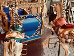 회전목마를 탄 날