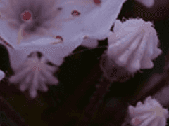 유 수빈 / 2학년 / XY / Philharmonic