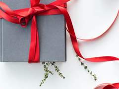 리본으로 칭칭, 꼬리만 살랑.