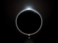 세상에 나쁜 여우는 없다