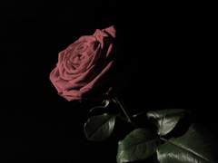 [NCT Dream] 그녀가 죽었다 4