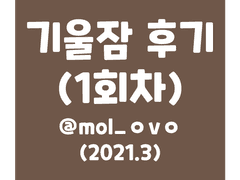 <기계인형의 겨울잠> 후기의 탈을 쓴 무언가의 번데기