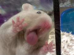 구독자 40명 돌파