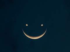 무제 : 내 파트너가 전직 암살자였다고 한다