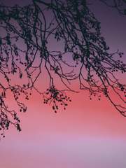 백지 위에 튄 검은 잉크