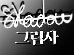 SHADOW 2화
