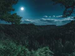 등전만리심(燈前萬里心)_12