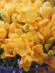 호도하는 세상을 향한 외침