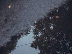 [워킹데드/니건릭] undying love