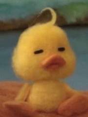 옆집오리의 [귀멸의 칼날]