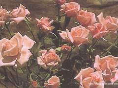 한예지 ✦ 1반 부반장