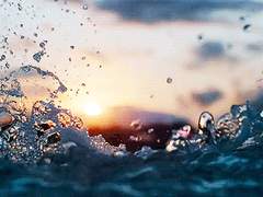 헤스티아 | 未亡의 迷妄