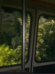 글자수제한 해방구역