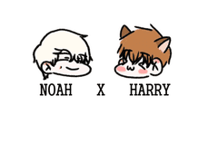 ① 노핼의 어느 날