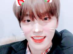 🍡 세븐틴 디노 (이찬) 4p