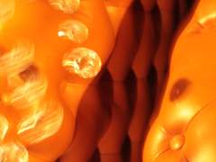 머리카락의 길이