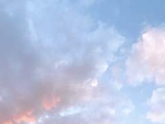 후회로 가는 길