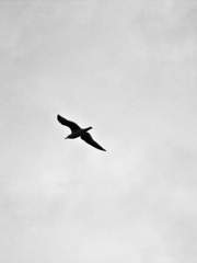 소나기 내리던 날에