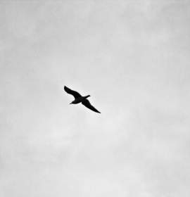 소나기 내리던 날에