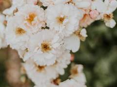 [뜰팁] | 히어로가 되었습니다. 개쪽팔립니다. -외전-