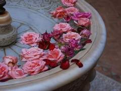 시간의 꽃 prologue